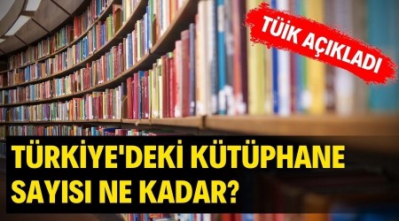 Trkiye statistik Kurumu (TK) 2020 ylna ilikin "Ktphane statistikleri"ni aklad