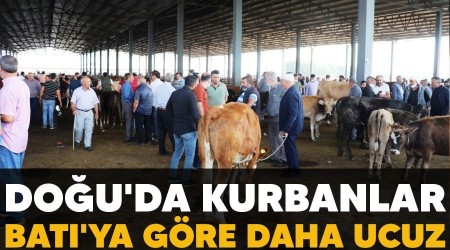 Dou'da kurbanlar Bat'ya gre daha ucuz