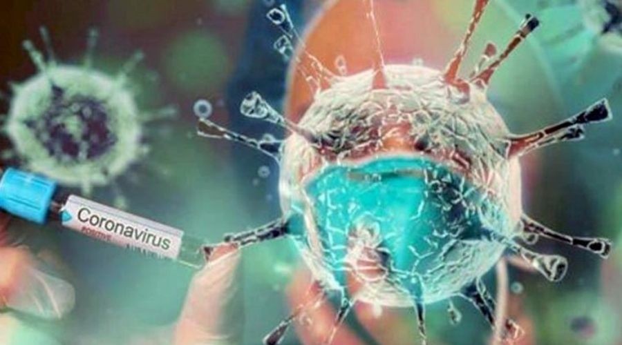 Sinop'ta 'Delta Plus' alarm! 37 kii karantinada