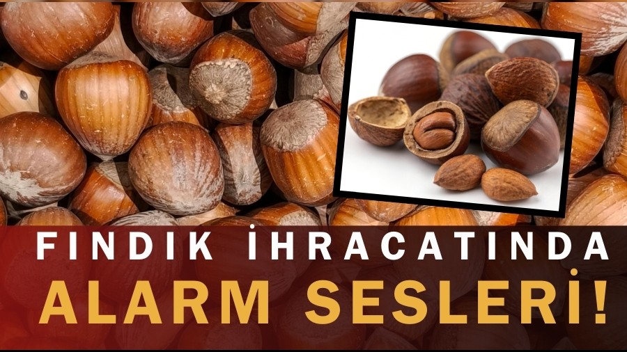 F�nd�k �hracat�nda Alarm Sesleri!