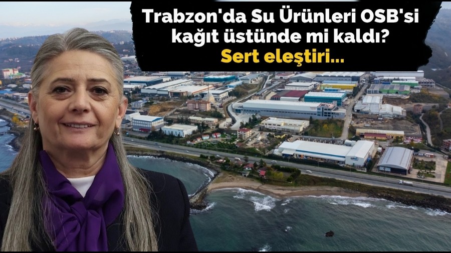 Trabzon'da Su rnleri OSB'si kat stnde mi kald?