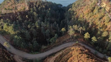 Uzmanlar uyard! Dou Karadeniz iin yangn sezonu yaklayor