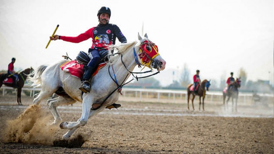 Erzurum’da cirit heyecanı