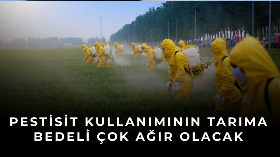 Pestisit Kullan�m�n�n Tar�ma Bedeli �ok A��r Olacak