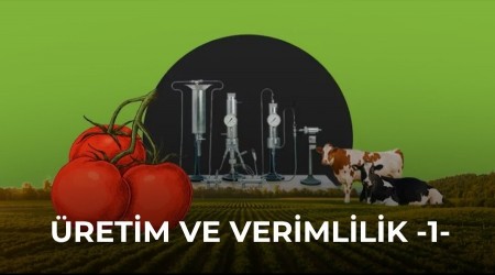 �retim ve verimlilik -1-