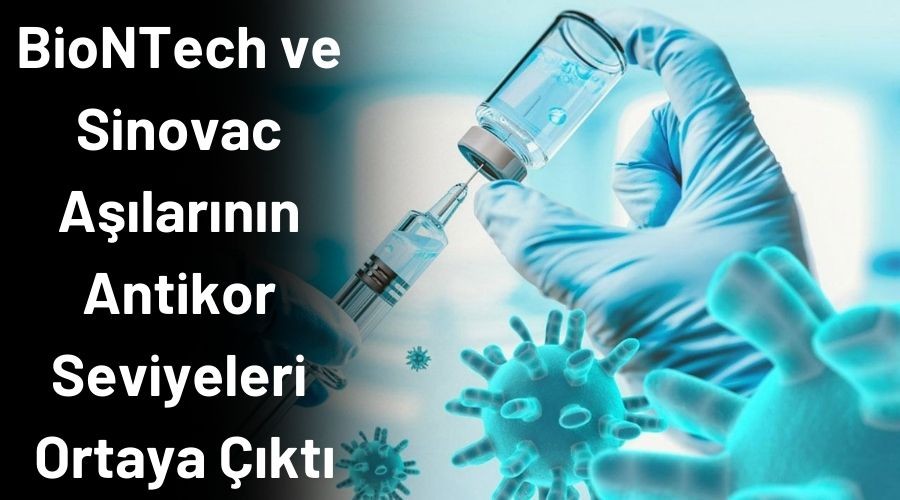 BioNTech ve Sinovac alarnn antikor seviyeleri ortaya kt!