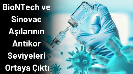 BioNTech ve Sinovac alarnn antikor seviyeleri ortaya kt!
