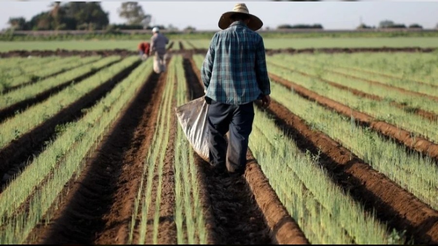 �retim ve verimlilik -2-