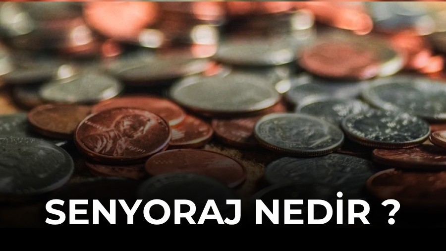Senyoraj nedir ?