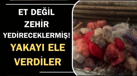 Et deil zehir yedireceklermi! Yakay ele verdiler