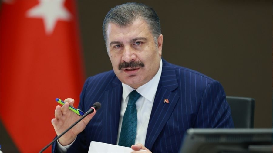 Koca Trkiye'deki maymun iei vaka saysn aklad