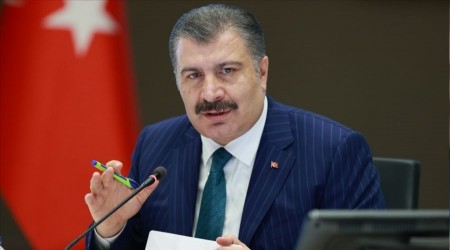 Koca Trkiye'deki maymun iei vaka saysn aklad