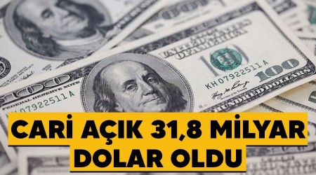 Cari ak 31,8 milyar dolar oldu