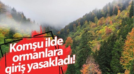 Komu ilde ormanlara giri yasaklad!