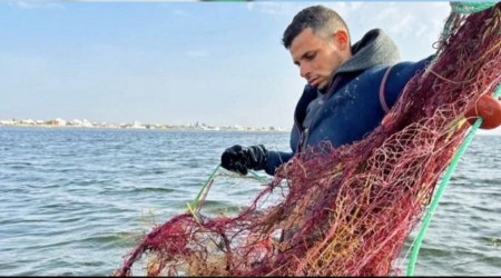 Balklar hamsi bereketi bekliyor