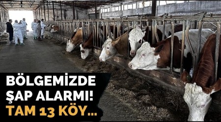 Blgemizde ap alarm! Tam 13 ky
