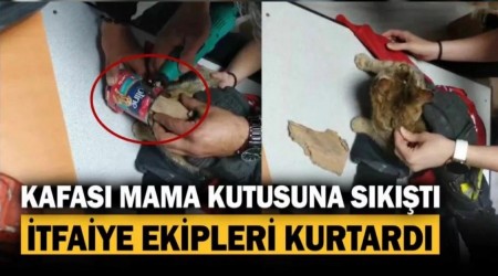 Kafasn mama kutusuna sktran kedinin yardmna itfaiye ekipleri yetiti