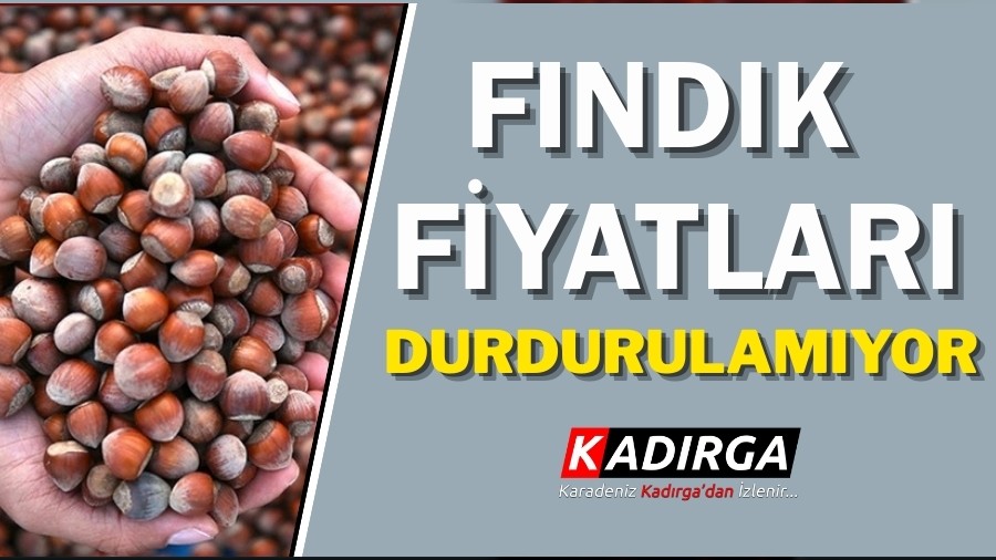 Trabzon'da Fndk Fiyatlar Durdurulamyor!