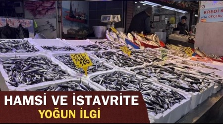Trabzon'da hamsi ve istavrit 100 liradan sat�l�yor