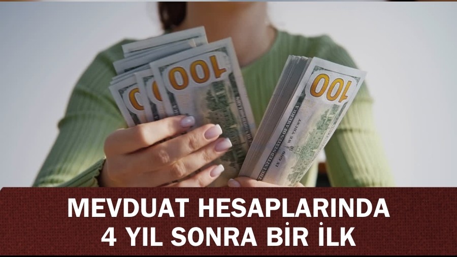 Bankalardaki döviz mevduat hesaplarında 4 yıl sonra bir ilk