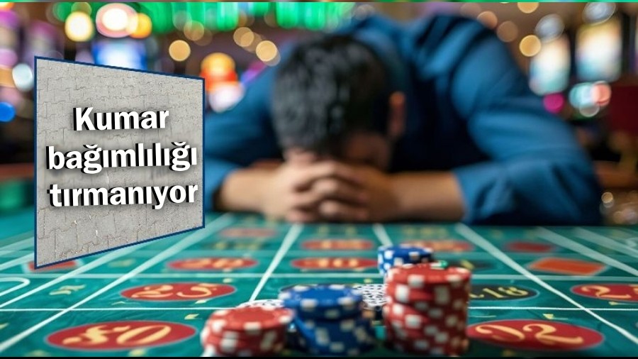 Kumar bamll trmanyor: Eriim kolaylat, genler ve kadnlarda bavurular artt