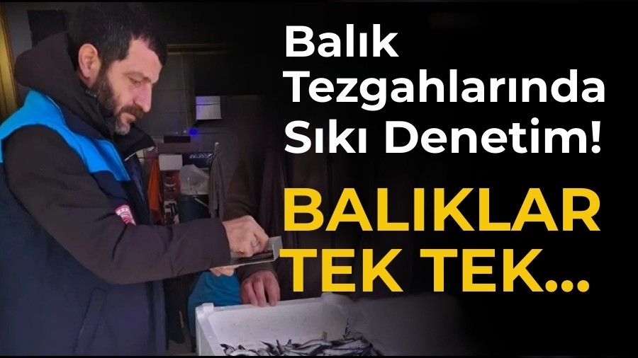 Bal�k Tezgahlar�nda S�k� Denetim! Bal�klar Tek Tek...