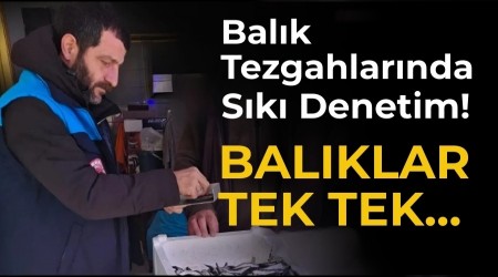 Bal�k Tezgahlar�nda S�k� Denetim! Bal�klar Tek Tek...