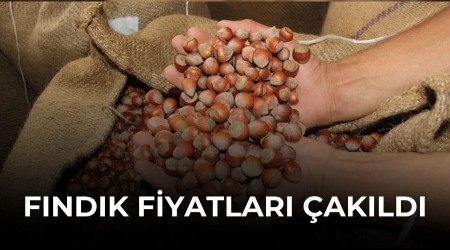 F�nd�k fiyatlar� �ak�ld�