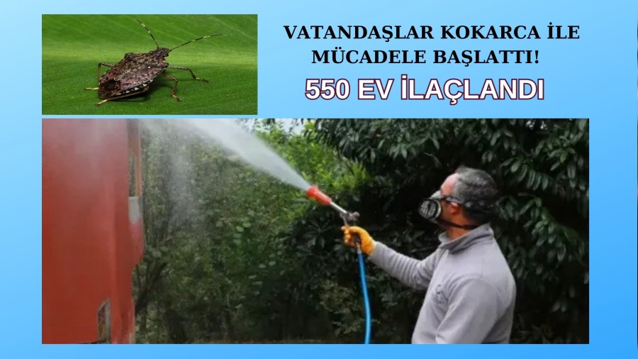 Vatandalar Kokarca ile Mcadele Balatt! 550 ev ilaland