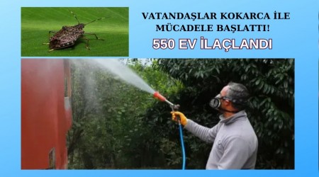 Vatandalar Kokarca ile Mcadele Balatt! 550 ev ilaland