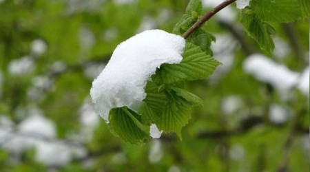 Meteorolojiden ya ve zirai don uyars