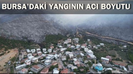 Bursa'daki Yangının Acı Boyutu