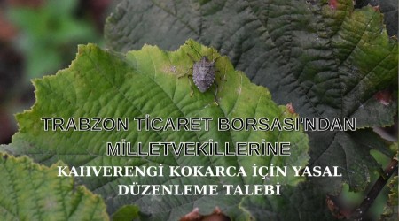 Trabzon TB'den milletvekillerine kahverengi kokarca iin yasal dzenleme talebi