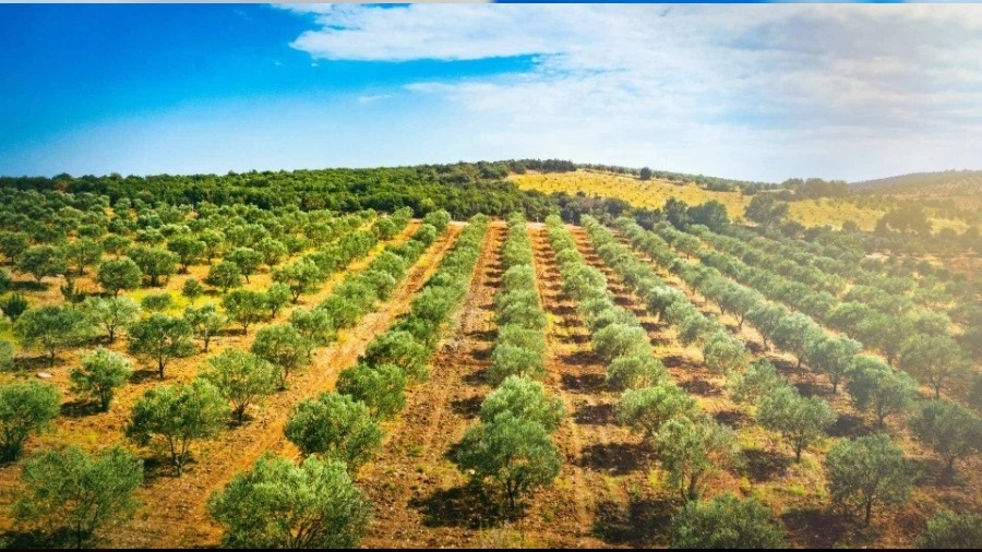 �retim, istihdam ve kalk�nma