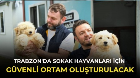 Trabzon'da sokak hayvanlar� i�in g�venli ortam olu�turulacak