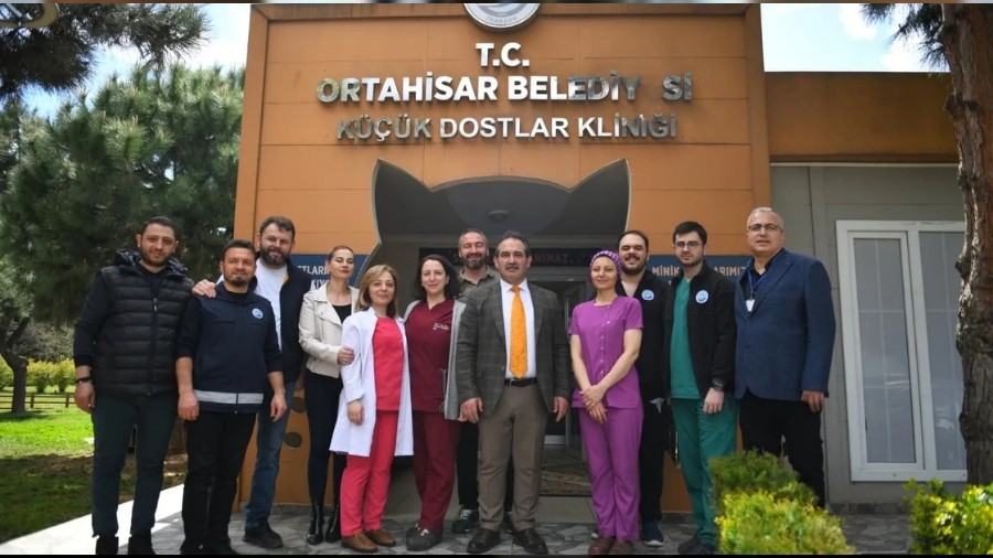 Trabzon'da sokak hayvanları için güvenli ortam oluşturulacak